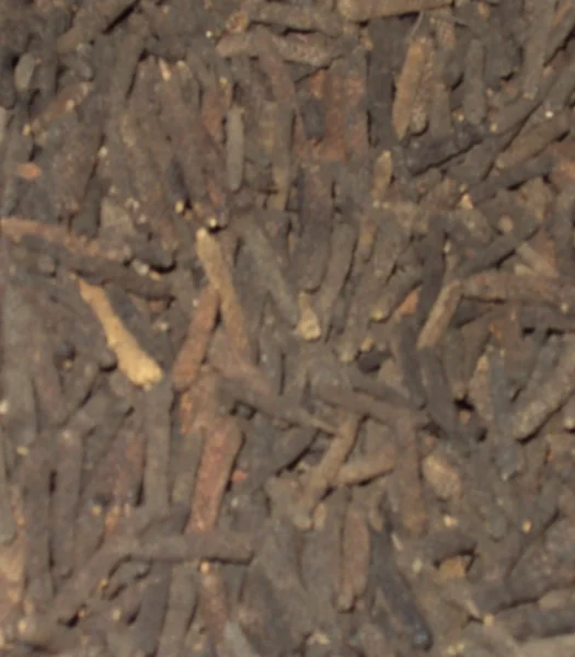 PEPE DEL BENGALA O LUNGO 100g
