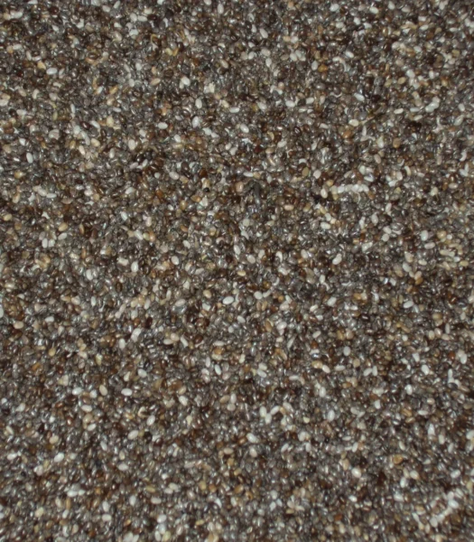 CHIA SEMI 100g