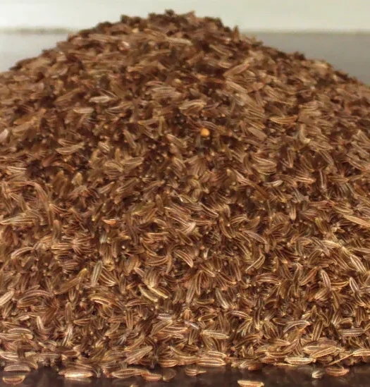 CUMINO SEMI 100 g