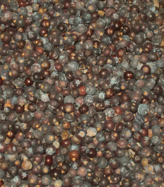 GINEPRO A SEMI INTERI 100 g