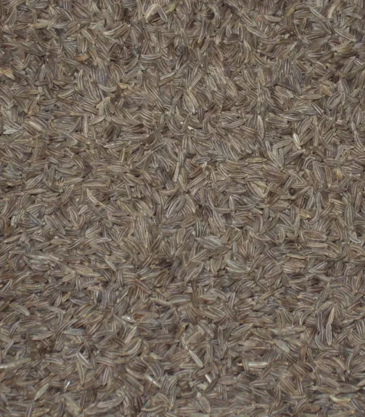 KUMMEL SEMI 100g