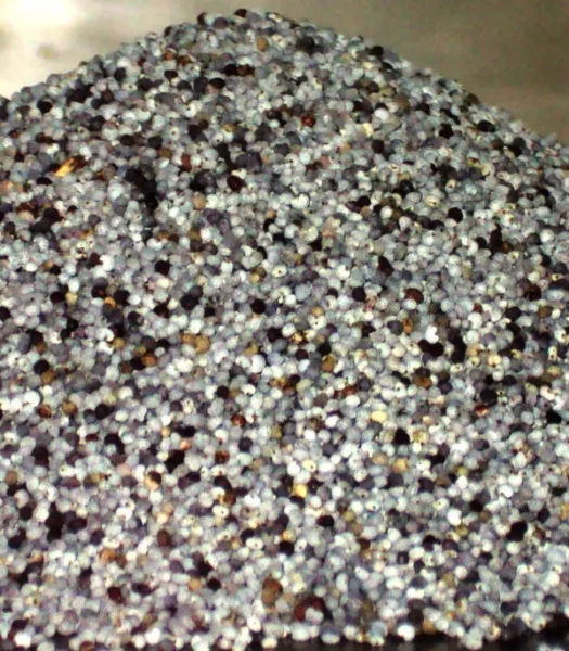 PAPAVERO BLU SEMI 100 g