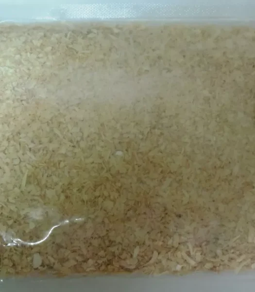 CIPOLLA GRANULARE  100 g