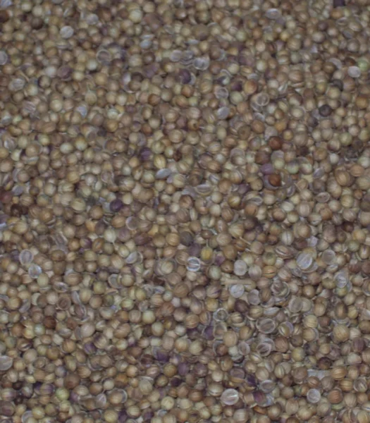 CORIANDOLO SEMI INTERI 100 g