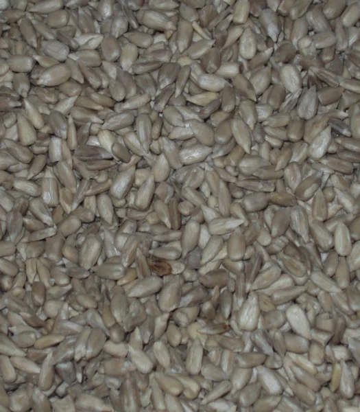 SEMI DI GIRASOLE DECORTICATO 100 G